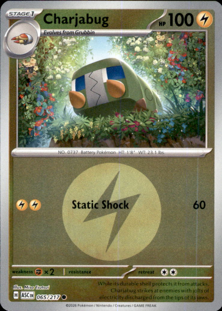 Charjabug (Energy Symbol) Reverse Holo Common ME: Ascended Heroes 065/217 NM