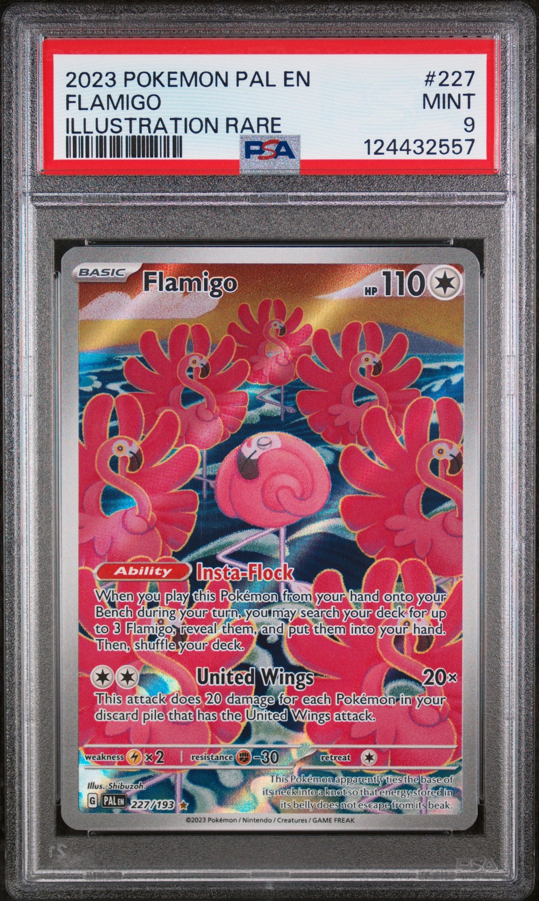 Flamigo Illustration Rare Pokemon Pal En-Paldea Evolved 227 NM PSA 9