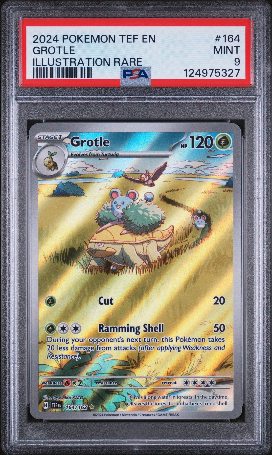 Grotle Illustration Rare Pokemon Tef En-Temporal Forces 164 NM PSA 9