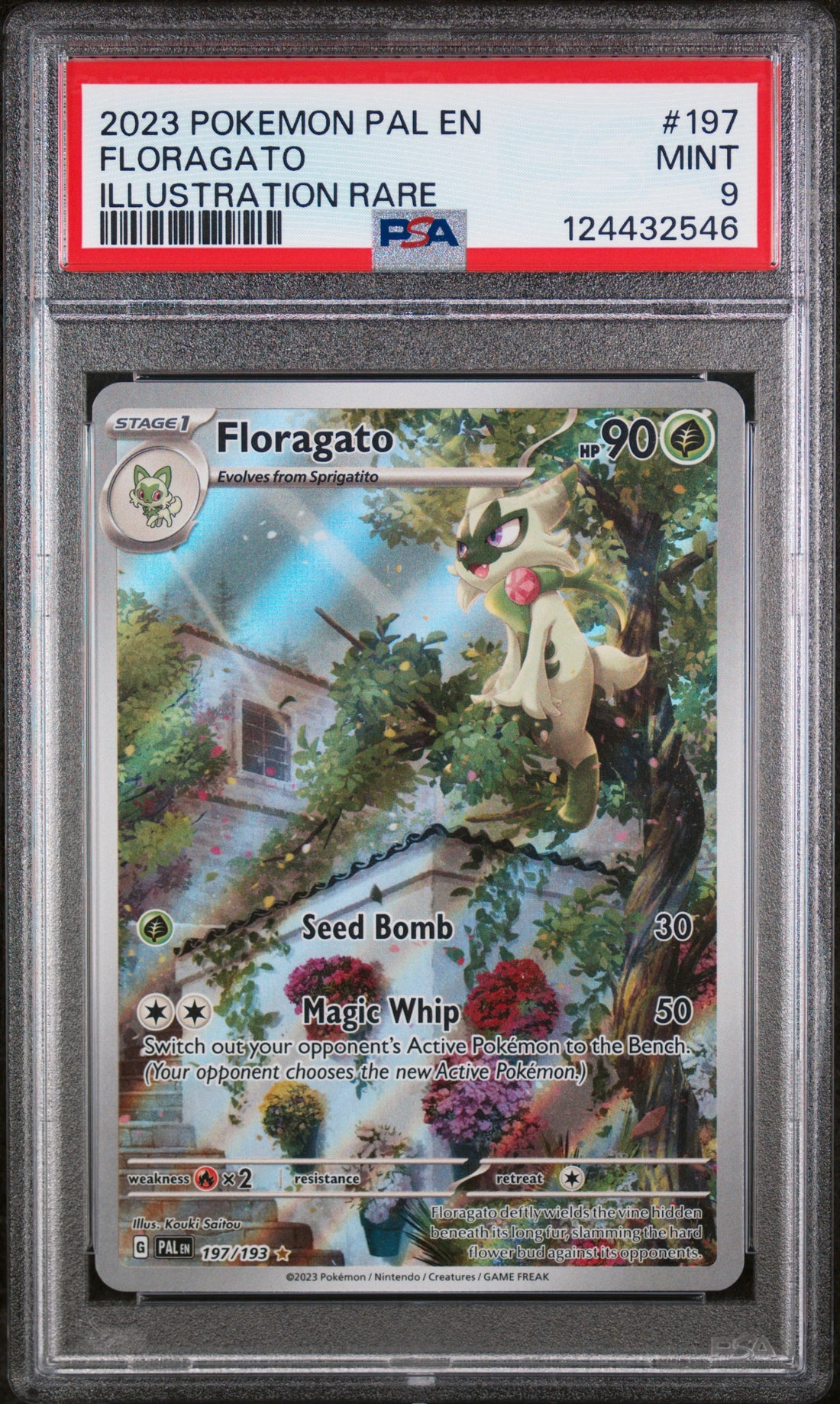 Floragato Illustration Rare Pokemon Pal En-Paldea Evolved 197 NM PSA 9