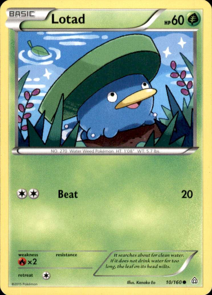 Lotad Common XY - Primal Clash 10/160 NM