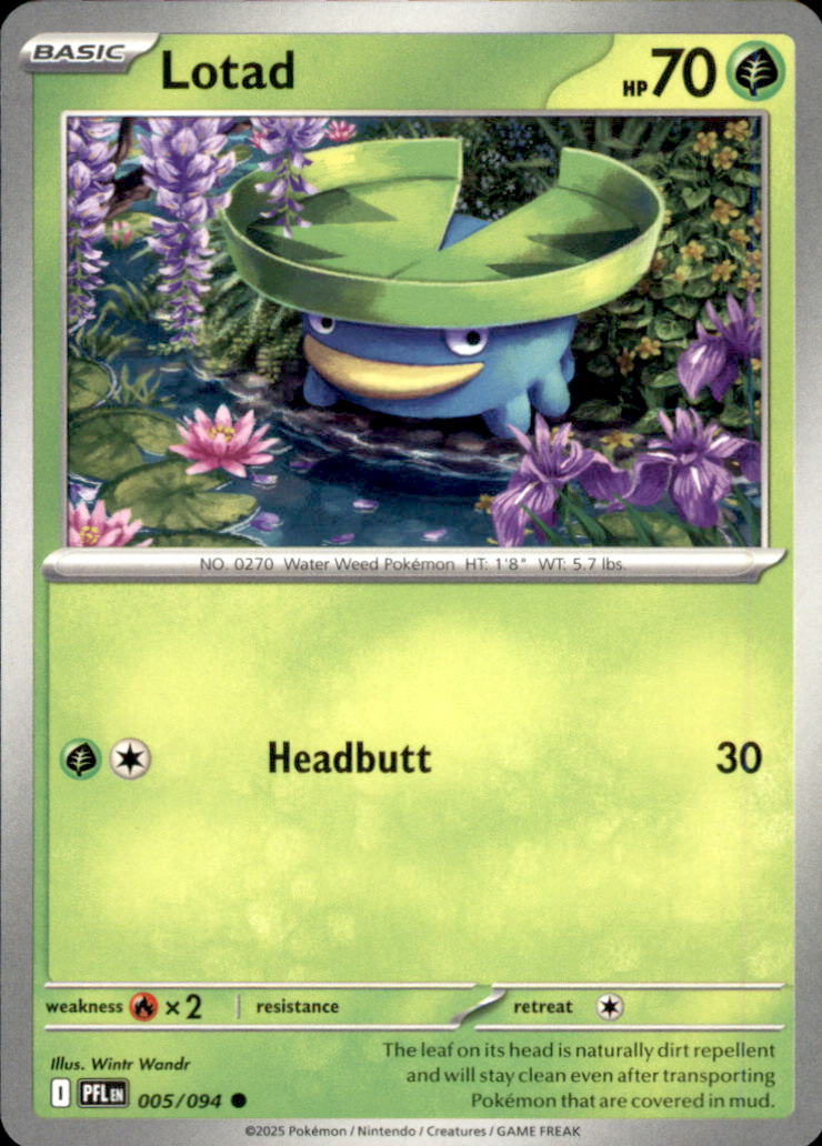 Lotad Common ME02: Phantasmal Flames 005/094 NM