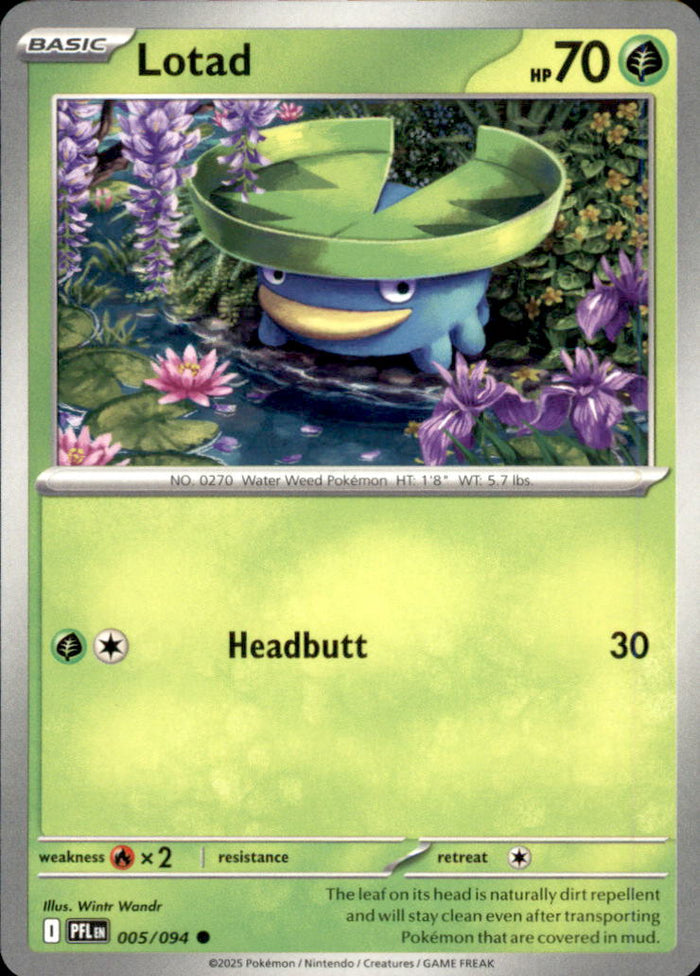Lotad Common ME02: Phantasmal Flames 005/094 NM