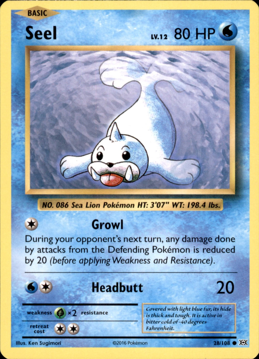 Seel Common XY - Evolutions 28/108 NM