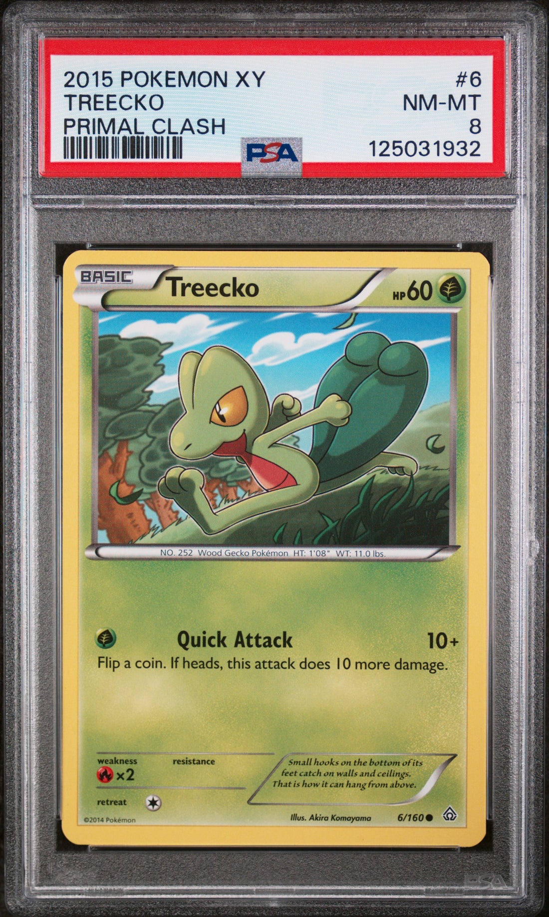 Treecko Primal Clash Pokemon Xy Primal Clash 6 NM PSA 8