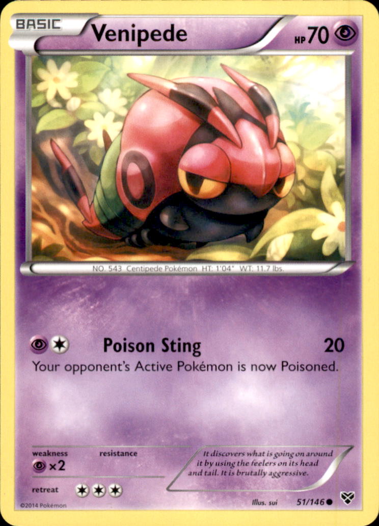 Venipede Common XY Base Set 51/146 NM