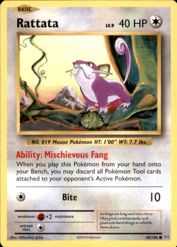 Rattata Common XY - Evolutions 66/108 NM