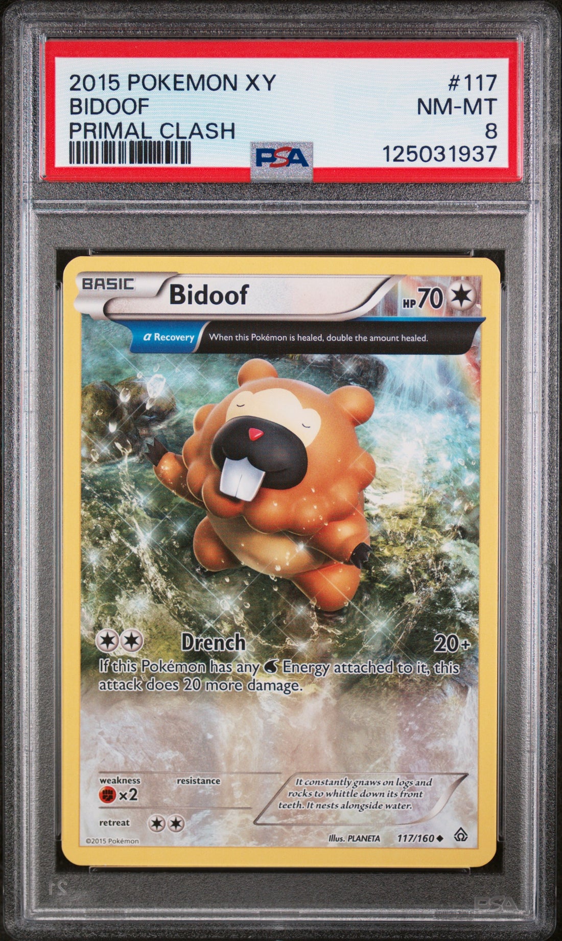 Bidoof Primal Clash Pokemon Xy Primal Clash 117 NM PSA 8