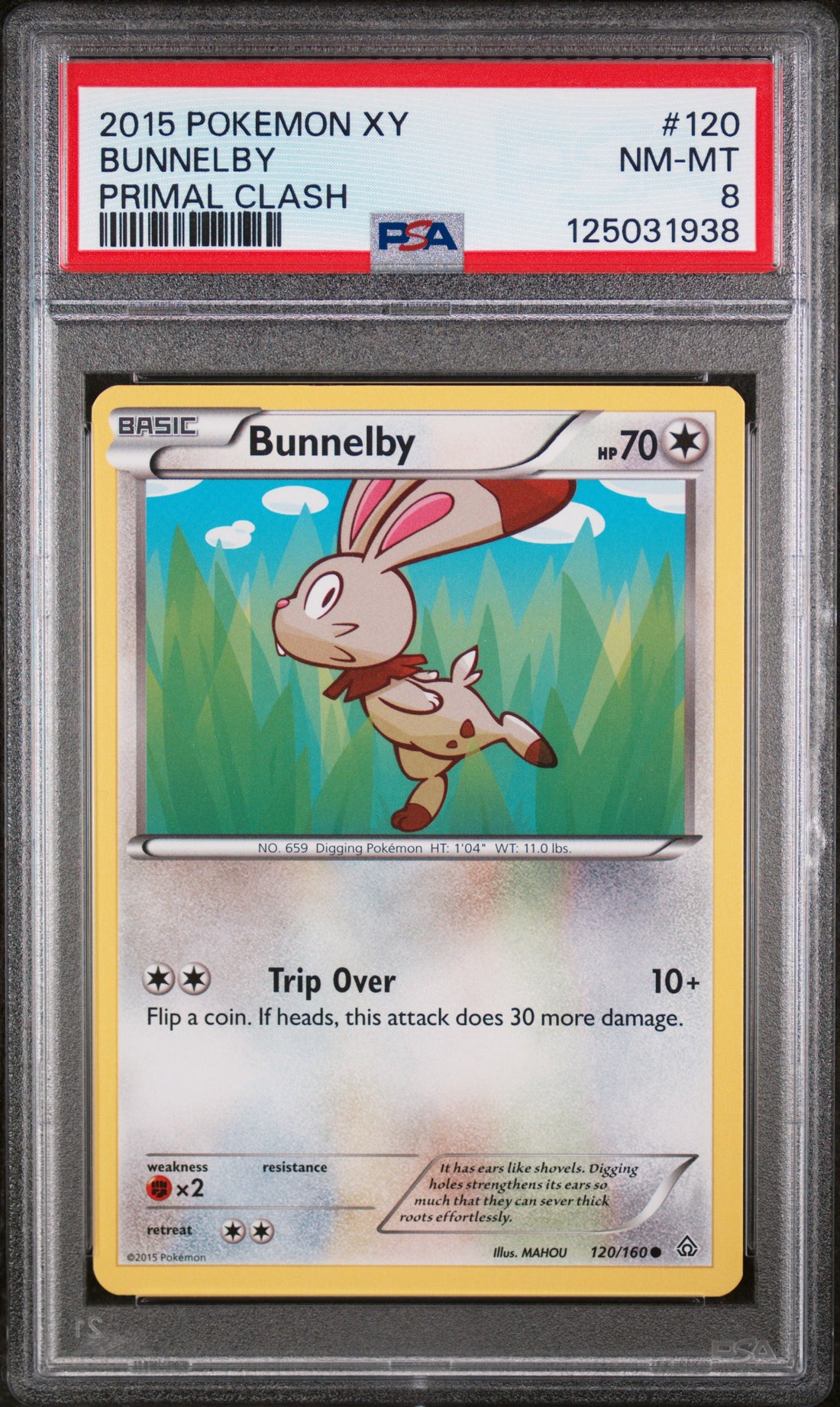 Bunnelby Primal Clash Pokemon Xy Primal Clash 120 NM PSA 8
